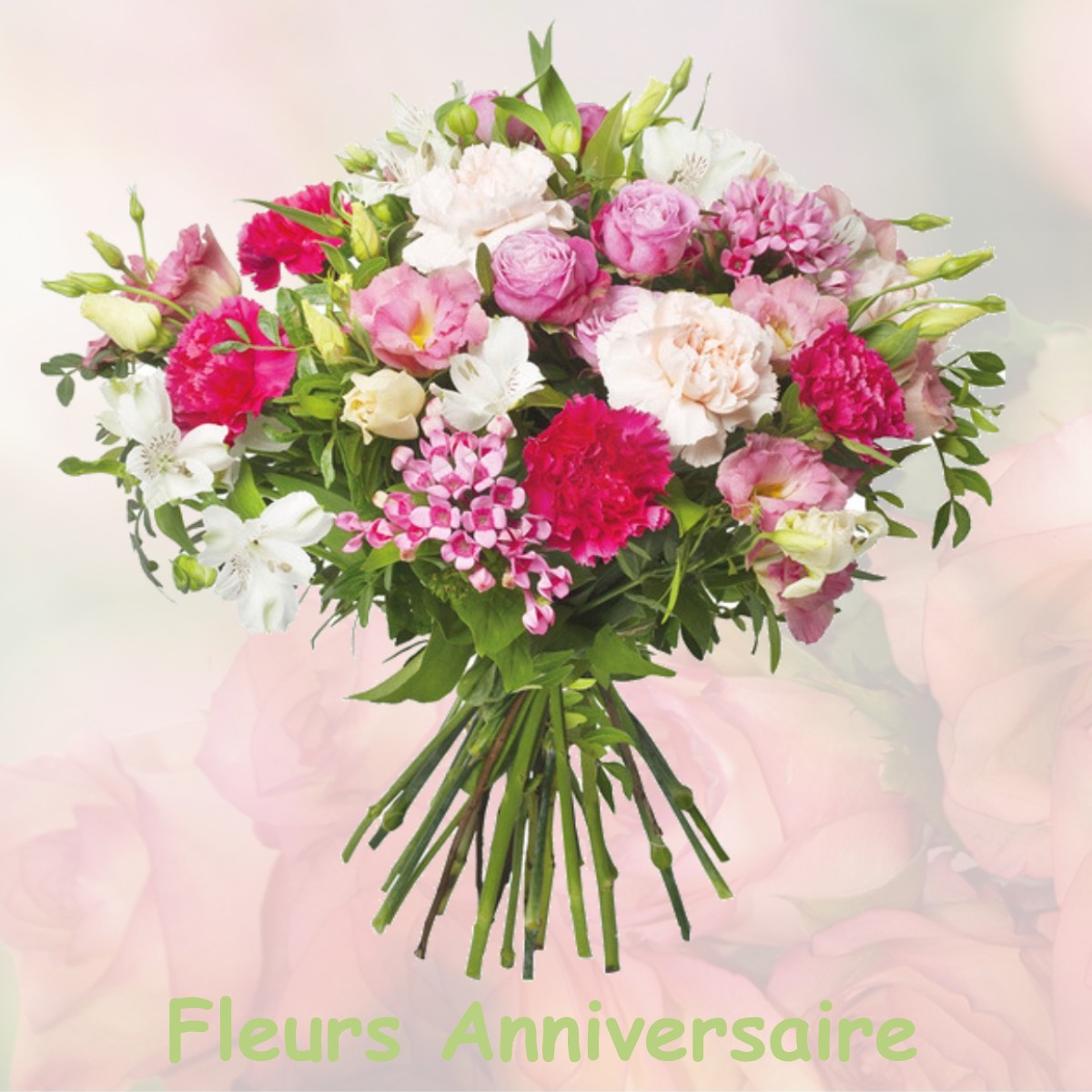 fleurs anniversaire MAGNY-LE-HONGRE